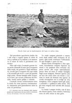 giornale/IEI0013444/1934/unico/00000368