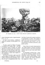 giornale/IEI0013444/1934/unico/00000435