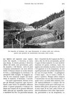 giornale/IEI0013444/1934/unico/00000585