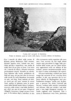 giornale/IEI0013444/1935/unico/00000153