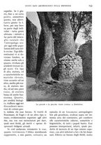 giornale/IEI0013444/1935/unico/00000157