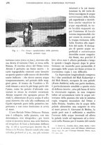 giornale/IEI0013444/1935/unico/00000322