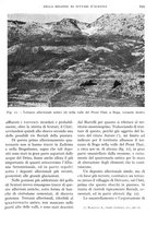 giornale/IEI0013444/1935/unico/00000335