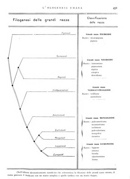 L'universo rivista mensile