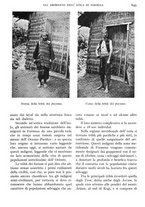 giornale/IEI0013444/1935/unico/00000719