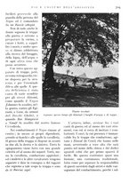 giornale/IEI0013444/1935/unico/00000785