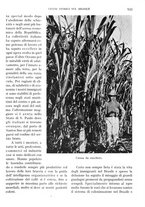 giornale/IEI0013444/1935/unico/00001029