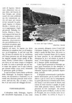 giornale/IEI0013444/1936/unico/00000117