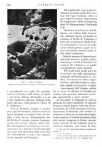 giornale/IEI0013444/1936/unico/00000410