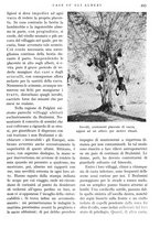giornale/IEI0013444/1936/unico/00000575