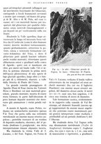 giornale/IEI0013444/1937/V.18.2/00000035