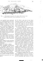 giornale/IEI0013444/1938/unico/00000063