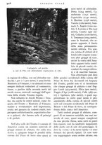 giornale/IEI0013444/1938/unico/00000500
