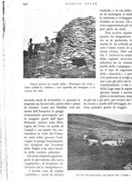 giornale/IEI0013444/1938/unico/00000514