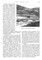 giornale/IEI0013444/1938/unico/00000515