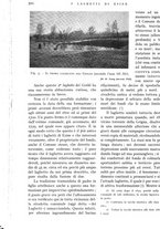 giornale/IEI0013444/1938/unico/00000590