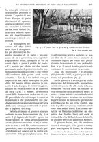 giornale/IEI0013444/1938/unico/00000591