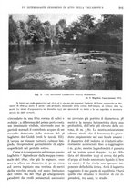 giornale/IEI0013444/1938/unico/00000595