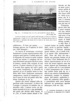 giornale/IEI0013444/1938/unico/00000600