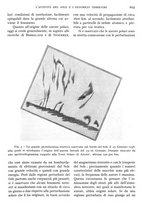giornale/IEI0013444/1938/unico/00000723