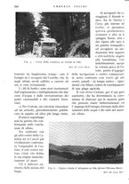 giornale/IEI0013444/1938/unico/00000922