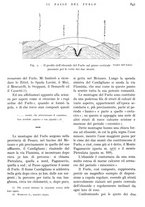 giornale/IEI0013444/1938/unico/00000987