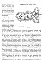 giornale/IEI0013444/1938/unico/00001093