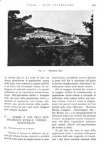 giornale/IEI0013444/1938/unico/00001101