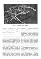 giornale/IEI0013444/1938/unico/00001107