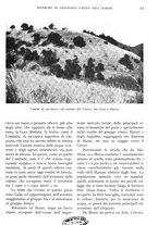 giornale/IEI0013444/1939/V.20.1/00000049