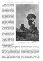 giornale/IEI0013444/1939/V.20.1/00000067