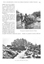 giornale/IEI0013444/1939/V.20.1/00000251