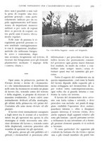 giornale/IEI0013444/1939/V.20.1/00000475