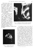 giornale/IEI0013444/1940/V.21.1/00000053