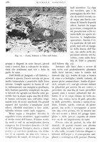 giornale/IEI0013444/1940/V.21.1/00000216