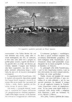 giornale/IEI0013444/1940/V.21.1/00000240