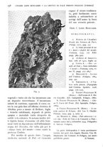 giornale/IEI0013444/1940/V.21.1/00000282