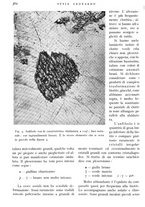 giornale/IEI0013444/1940/V.21.1/00000416