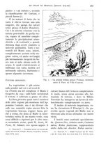 giornale/IEI0013444/1941/V.22.2/00000023