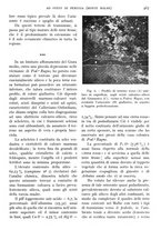 giornale/IEI0013444/1941/V.22.2/00000035