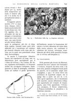 giornale/IEI0013444/1941/V.22.2/00000277
