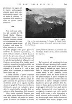 giornale/IEI0013444/1941/V.22.2/00000295