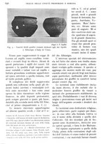 giornale/IEI0013444/1941/V.22.2/00000302
