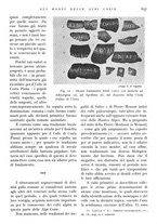 giornale/IEI0013444/1941/V.22.2/00000303