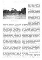 giornale/IEI0013444/1941/V.22.2/00000386