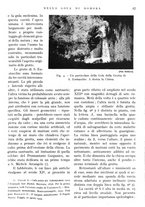 giornale/IEI0013444/1942/unico/00000055