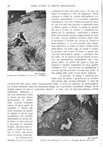 giornale/IEI0013444/1942/unico/00000108