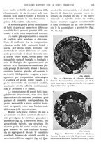 giornale/IEI0013444/1942/unico/00000169