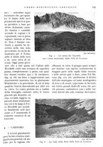 giornale/IEI0013444/1942/unico/00000249