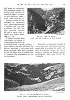 giornale/IEI0013444/1942/unico/00000251